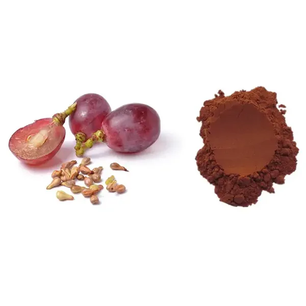 Grape Seed Extract 95% OPC China Supplier