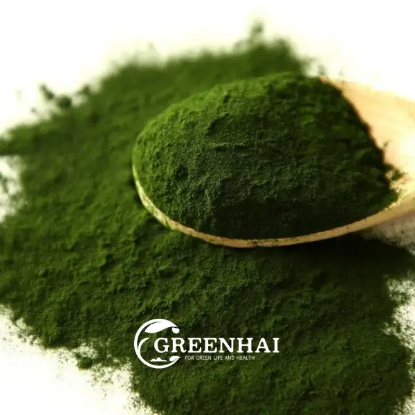 Chlorella Powder Food Grade China Manufacturer and Supplier